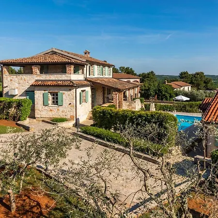 Lathyrus San Lorenzo Vila *