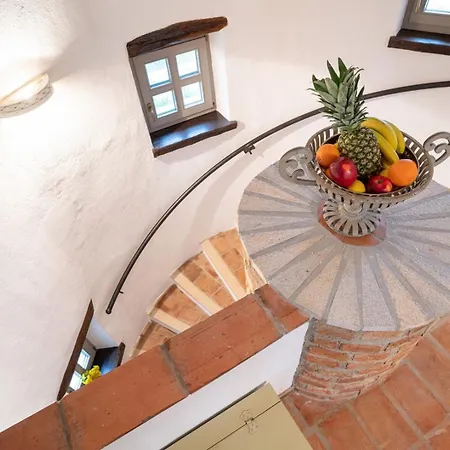 Lathyrus San Lorenzo * Sveti Lovrec Pazenaticki