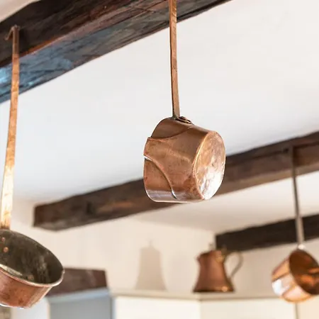 Lathyrus San Lorenzo Vila *