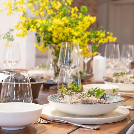 Lathyrus San Lorenzo Vila