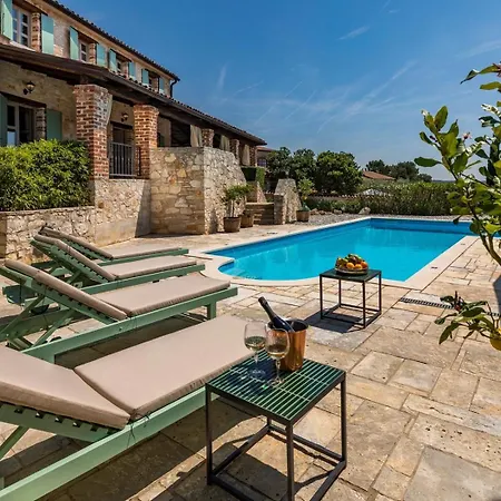 Lathyrus San Lorenzo *