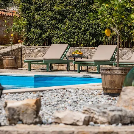 Lathyrus San Lorenzo Villa Sveti Lovreč Pazenatički